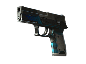 P250 | Валентность (Закалённое в боях)