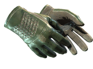 ★ Driver Gloves | Racing Green (Field-Tested)